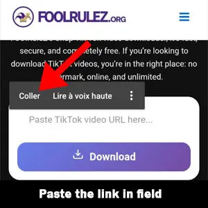 Paste the copied tiktok video story link for download video tiktok